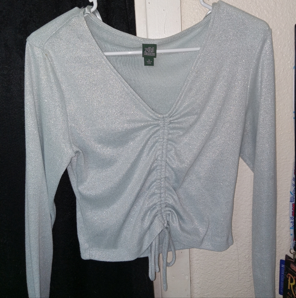 Wild Fable Shimmering Silver Ruched Blouse